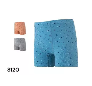 Трусики для хлопчиків Трусики для хлопчиків